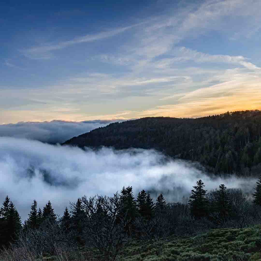 North Bay Coast & Mendocino