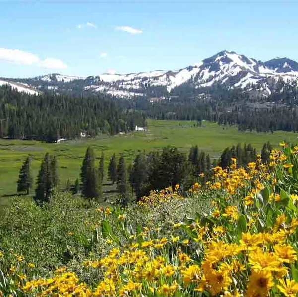 High Sierra