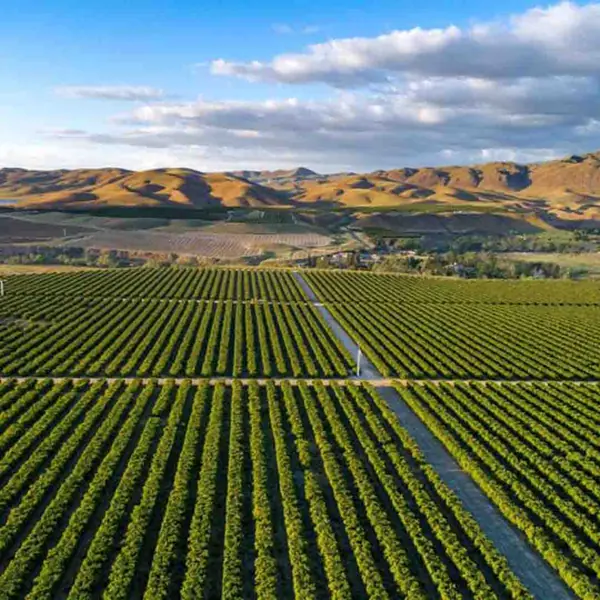 Sacramento Valley